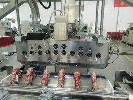 Small Co-Extrusion Casting Test Line