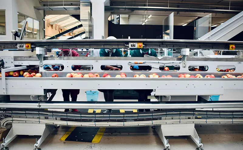 Food & Packaging Industry