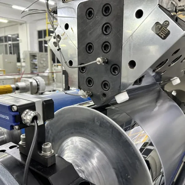 Multi-Layer Co-Extrusion Casting Line